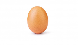 world record egg instagram huevo